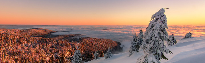 Wellnesshotel Bayerischer Wald