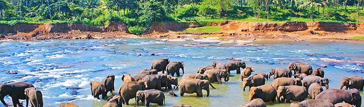 Sri Lanka