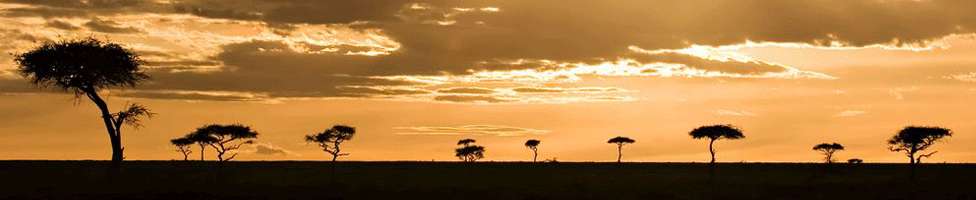 Die beliebtesten Hotel Angebote in Kenia