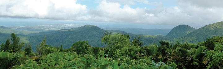 Last Minute Guadeloupe zu Schnäppchenpreisen!